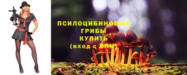 PSILOCYBIN Красноперекопск