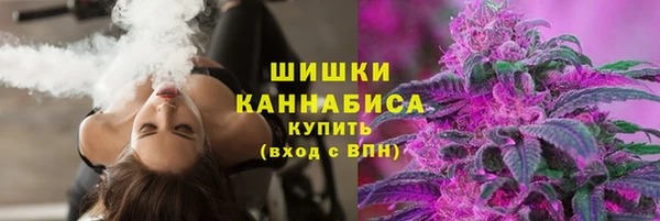 дмт Краснослободск
