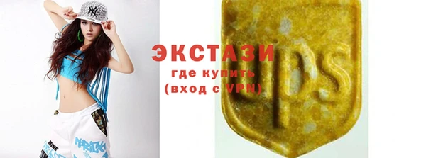 дмт Краснослободск