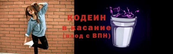 дмт Краснослободск