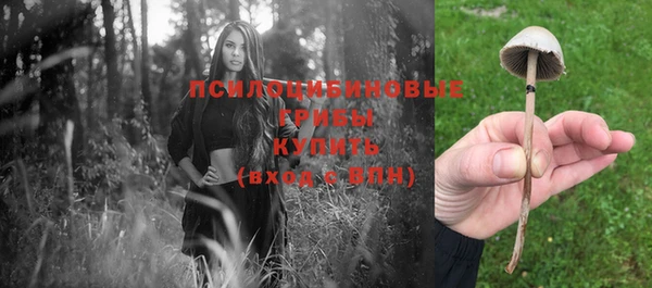 гидра Краснотурьинск