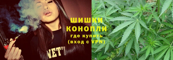 PSILOCYBIN Красноперекопск