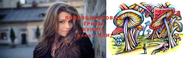дмт Краснослободск