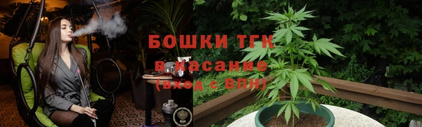 дмт Краснослободск